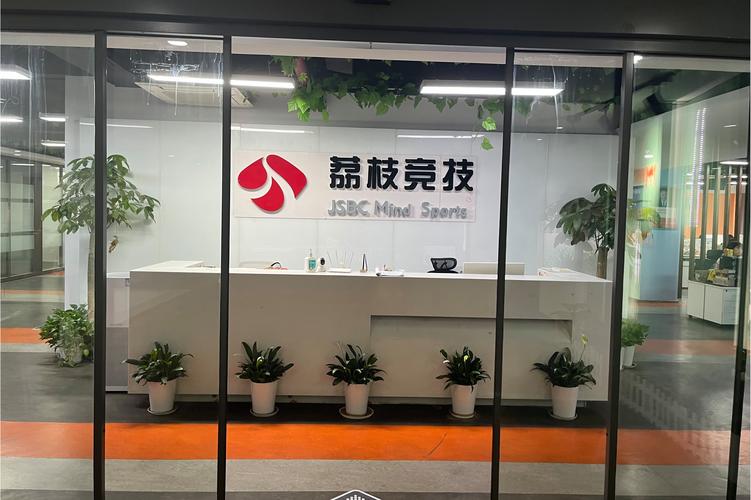 公司经营范围包括:许可项目:第二类增值电信业务;网络文化经营;互联网